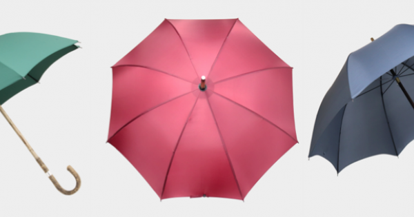 Best british umbrella online